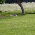 SO_01_008