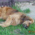 Bild 051