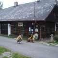 IMGP3823