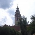 IMGP3876