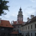 IMGP3910