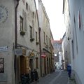 IMGP3921