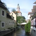 IMGP3924