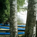 IMAG0066