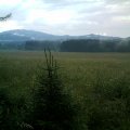 IMAG0121