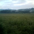 IMAG0122