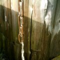 IMAG0160