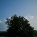 IMAG0174