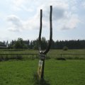 s_IMG_0243