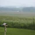 s_IMG_0280