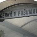 s_IMG_0310