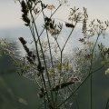 s_IMG_0598