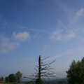 s_IMG_0606