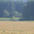 s_IMG_0615