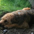 s_IMG_0620