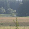 s_IMG_0637