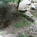 s_IMG_0640