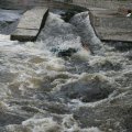 s_IMG_0655