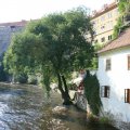 s_IMG_0693