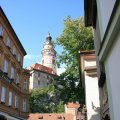 s_IMG_0694