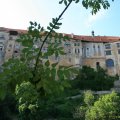 s_IMG_0697