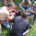 IMG_0070