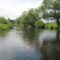IMG_0117