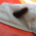IMG_0174