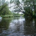 s_IMGP0311