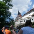 s_IMGP0331