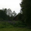 s_IMG_3635