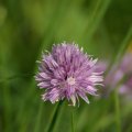s_IMG_3660