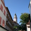 s_IMG_3685