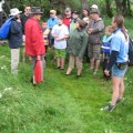 IMG_0050