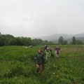 IMG_0052