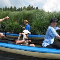 IMG_1162_comp