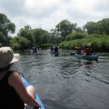 IMG_1166_comp