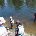 IMG_1191_comp