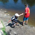 IMG_1194_comp