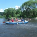 IMG_1222_comp