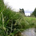 s_2012-07-07_13-03-40_PTDC0025