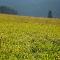 s_2012-07-07_19-48-46_DSC_6311