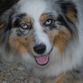 s_2012-07-07_21-10-46_DSC_6366
