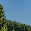 s_2012-07-08_10-48-24_DSC_6409