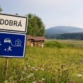 s_IMG_4778