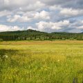 s_IMG_4780