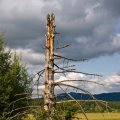 s_IMG_4786