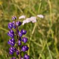 s_IMG_4789