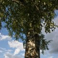 s_IMG_4792