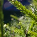 s_IMG_4805
